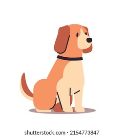 cute dog funny animal cartoon pet isolated full length