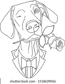 Cute dog gentleman contour coloring