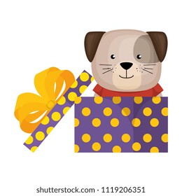 cute dog in gift character
