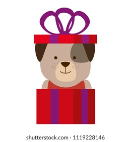 cute dog in gift character