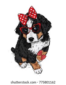 Cute dog with glasses and a bow. Vector illustration. Purebred puppy in clothes and accessories. Girl.