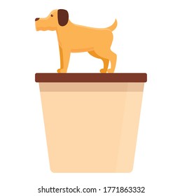 Cute dog at groomer icon. Cartoon of cute dog at groomer vector icon for web design isolated on white background