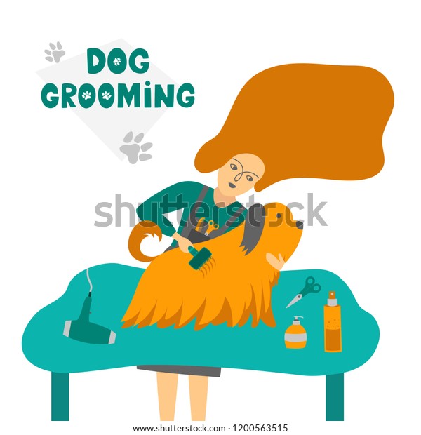 petstock grooming