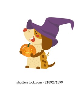 Cute dog in Halloween hat with pumpkin lantern. Funny puppy on holiday. Happy cartoon doggy, comic scary pet. Hand drawn vector illustration, idea for print on kids card, costume, etc. Flat design 