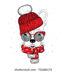 Cute  dog in a hat, scarf and glasses. Purebred puppy. Bulldog in winter clothes. Vector illustration for a postcard or a poster, print for clothes.