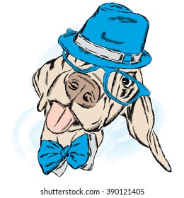 Cute dog in a hat and tie. Vector illustration.