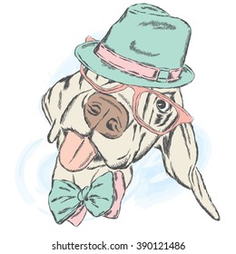 Cute dog in a hat and tie. Vector illustration.