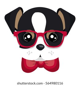 cute dog hipster style