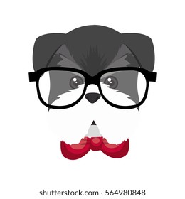 cute dog hipster style