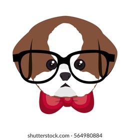 cute dog hipster style