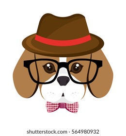 cute dog hipster style