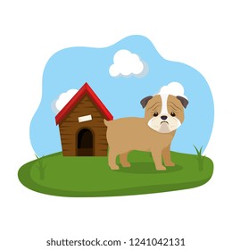 cute dog with house wooden in the grass