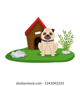 cute dog with house wooden in the grass