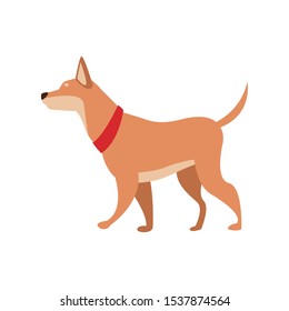 cute dog icon over white background, vector illustration