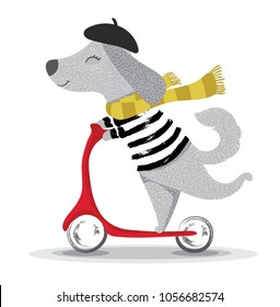 cute dog illustration.Cartoon character with a scooter.