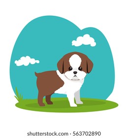 cute dog isolated icon