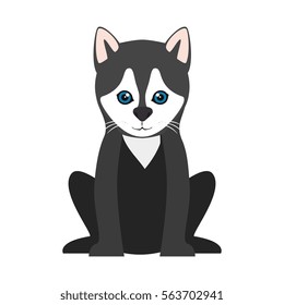 süßes Hund einzeln Symbol