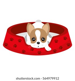 cute dog isolated icon