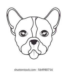 cute dog isolated icon