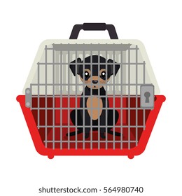 cute dog isolated icon