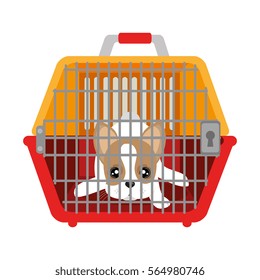 cute dog isolated icon