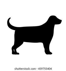 cute dog isolated icon design, vector illustration  graphic