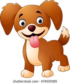 Cute dog isolated on white background