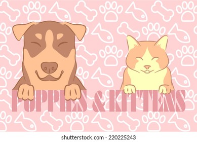 Cute dog and kitten happy together on a message