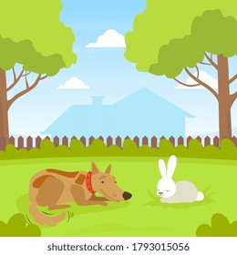 Cute Dog Looking at White Rabbit Sitting on Lawn in Backyard, Beautiful Summer Landscape Flat Vector Illustration