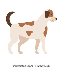 cute dog mascot icon