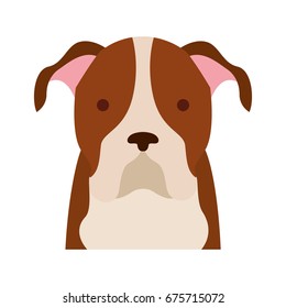 cute dog mascot icon