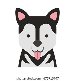 cute dog mascot icon