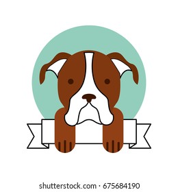 cute dog mascot with ribbon