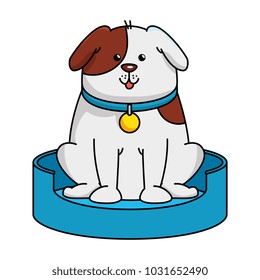 cute dog in the mattress mascot