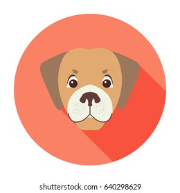 Cute dog muzzle cartoon icon. Funny brown puppy head in color circle flat vector isolated on white background. Lovely purebred pet illustration for animal friend concept, shop or veterinary clinic ad