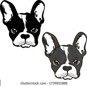 Cute Dog Muzzle Of Frenchie Buldog With Bunny Ears In Black & White Colors Illustration. 