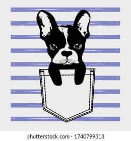 Cute dog Muzzle of frenchie buldog with bunny ears sitting in pocket on stripes. T-shirt print for kids apparel.