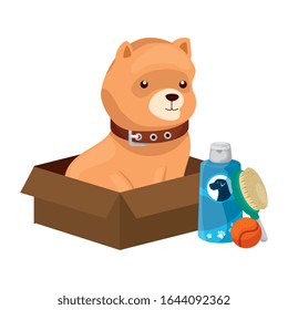cute dog with objects for care vector illustration design