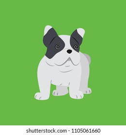 Cute dog on green background. The English bulldog. Vector  illustration in cartoon style.
