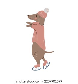 Cute dog on ice skates. Funny dachshund wearing warm clothes. Winter pet outfit concept design. Adorable puppy vector illustration