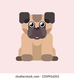 cute dog on a pink background