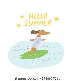 Cute dog on a surfing board. Dog dachshund surfer says hello summer vector