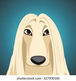 cute dog on a turquoise background. vector illustration