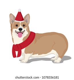 Cute Dog on the white background