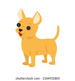 Cute dog on white background. The toy Terrier. Vector illustration in cartoon style. Funny character.
