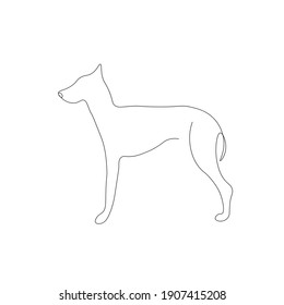 Cute dog on white background, vector illustration