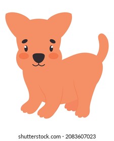 perro lindo con fondo blanco