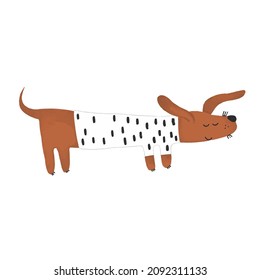 Cute dog on white  isolated background