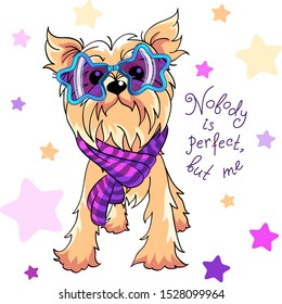 Cute dog pale cream Yorkshire terrier breed in trendy star rainbow glasses and striped scarf