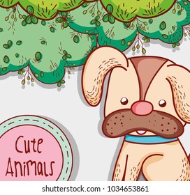 Cute dog in the park